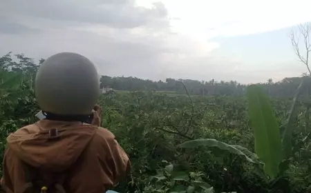 Diduga Dibabat Habis Salah Satu Kades, Kopi Ikonik Jember Musnah