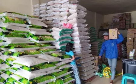 Petani Padi Kota Batu Sebut Kenaikan Beras Dampak Dari Pemupukan Tak Sempurna
