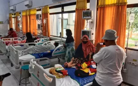 Awal 2024, 331 Kasus IVD Serang Jombang, 4 Orang Meninggal Karena DBD