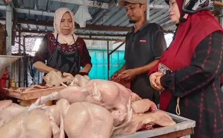 Jelang Ramadan, Harga Daging Ayam Melonjak Drastis Di Jombang