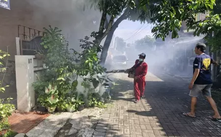 Ini Upaya Dinkes Bondowoso Tangani Penyakit Demam Berdarah