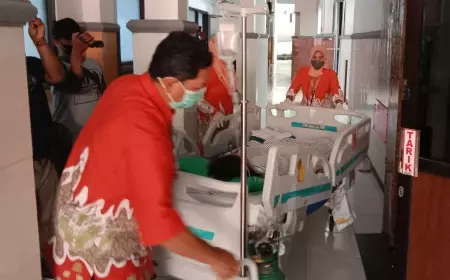 Tetap Waspada! 6 Dari 36 Pasien DBD Di RSUD Jombang Tutup Usia