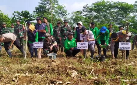 Begini Cara TNI Jaga Ketahanan Pangan di Bondowoso