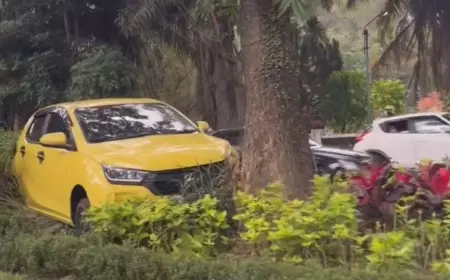 Niat Putar Balik, Sebuah Mobil di Kota Malang Nyangkut di Taman