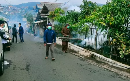 Kasus Kematian DBD Kota Batu Capai 3 orang