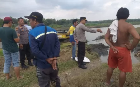 Sepuluh Hektar Padi Siap Panen di Bojonegoro Terendam Air Waduk Yang Jebol