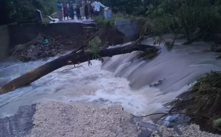 Luberan Air Tanggul Jebol di Bojonegoro Putuskan Jalan Desa Sebelah