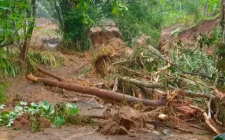 Selain Tanah Retak, Dua Desa di Jombang Terputus Akses Karena Longsoran Tanah