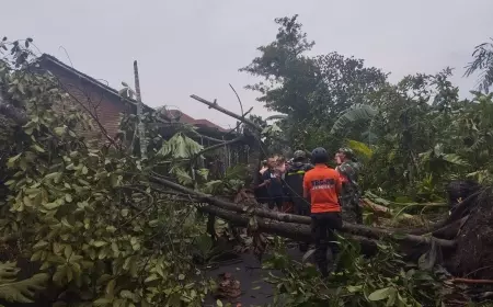 Angin Kencang Terjang Jember, 4 Rumah Rusak dan Tiang Listrik Ambruk