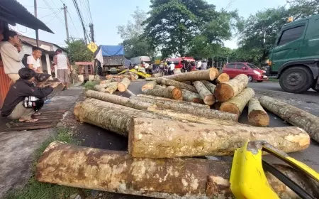 Dua Truk Terlibat Kecelakaan di Jalur Pantura Probolinggo, Muatan Kayu Bergelimpangan
