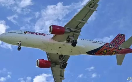 Direktorat Jenderal Perhubungan Udara Minta Perbaikan Pemantauan Kondisi Pilot Pasca Insiden Batik Air