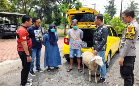 Pasutri Penjual Sate di Bondowoso, Curi Kambing Pakai Mobil Mewah