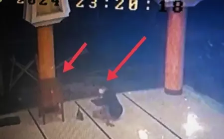Viral di Sosmed, Pencuri Kotak Amal Masjid Al Fatah Jember Terekam CCTV 