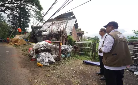 Cuaca Ekstrem Kota Batu Sebabkan 9 Titik Pohon Tumbang dan 4 Korban Luka