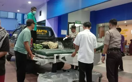 Angin Kencang Terjang Jember, Pohon Raksasa Timpa Pengendara Hingga Tewas