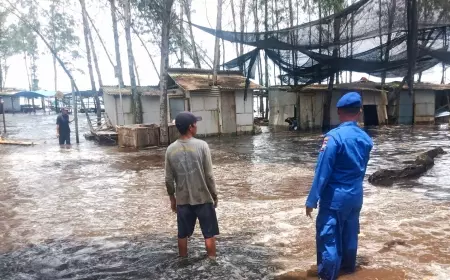 Pantai Cemara Jember Diterjang Air Rob 1 Meter, Puluhan Warung Luluh Lantak