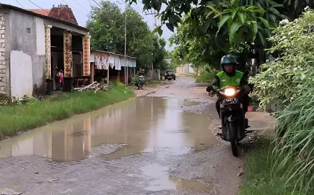 Warga Jantung Kota Bojonegoro Tuntut Perbaikan Jalan