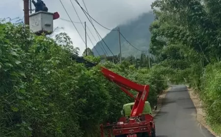 DPUPR Pastikan PJU Kota Batu Berfungsi Dengan Baik