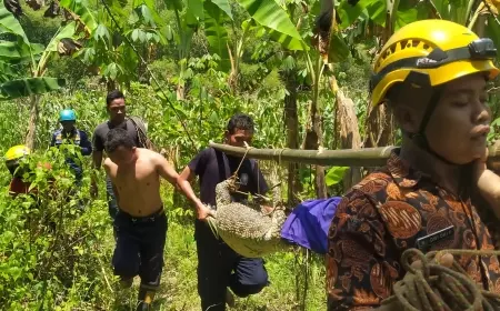Jumlah Buaya Yang Muncul di Bojonegoro Diperkirakan 10 Ekor
