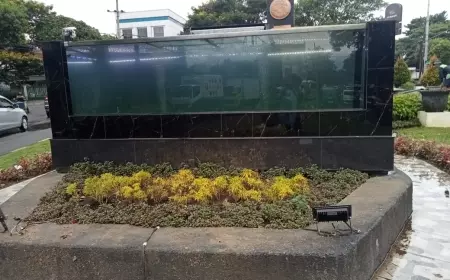 Ikan Koi di Akuarium Taman Adipura Mati, DLH Kota Malang Lakukan Sterilisasi