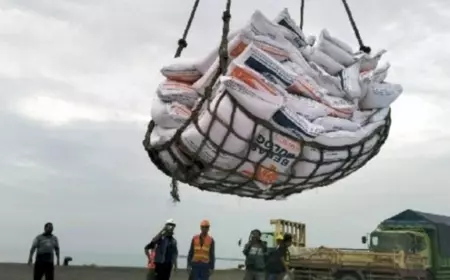 Beras Impor 8.200 Ton dari Vietnam dan Myanmar Tiba di Probolinggo