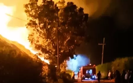 Gudang PTPN X Kebun Ajung Jember Ludes Terbakar