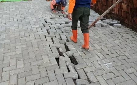 Perkara Tanah Retak Dusun Brau, Badan Geologi Angkat Bicara