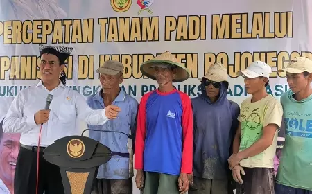 Maksimalkan Penyerapan, Mentan Tutup Keran Impor Jagung