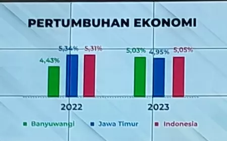 Pertumbuhan Ekonomi Banyuwangi Lebih Tinggi Ketimbang Provinsi Jatim