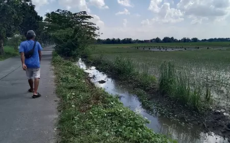 Perempatan Minim Penerangan Di Jombang, Mobil Box Tabrak Sepeda Motor
