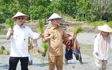 Kementerian Pertanian RI Beri Bantuan Petani Lamongan, Maksimalkan Lahan Tadah Hujan