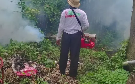 Bukan Fogging, Pemberantasan Sarang Nyamuk Jadi Solusi Terbaik Antisipasi Dini Pencegahan DBD