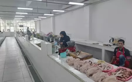 Harga Ayam dan Telur Meroket, Diprediksi Terus Menanjak Sampai Lebaran
