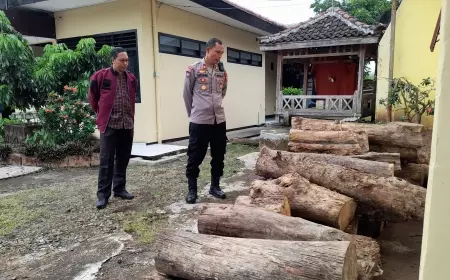 Polsek Klabang Bondowoso Amankan 81 Gelondong Kayu Jati, Diduga Hasil Ilegal Logging