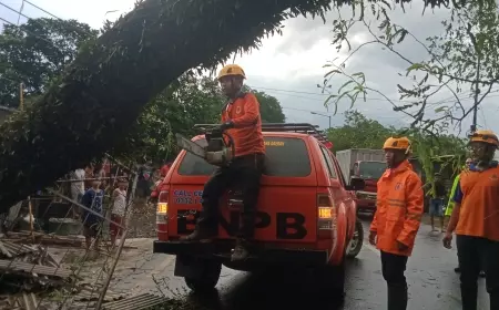 Angin Kencang di Bondowoso Tumbangkan 3 Pohon dan Rusak 20 Rumah Warga
