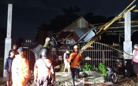 Pasca Gempa, Angin Kencang Tumbangkan Pohon Hingga Timpa Rumah Warga