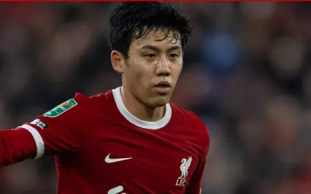 Wataru Endo Balik Kandang, Liverpool Senang