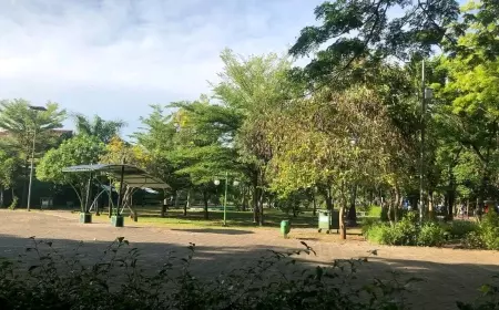 Pemkot Probolinggo Pertegas Wajah Asli Kota dengan Tanam 1000 Pohon Mangga