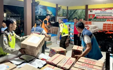 PLN Salurkan Bantuan untuk Korban Terdampak Gempa di Bawean