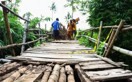 Pemkab Jember Segera Benahi Jembatan Akses Perekonomian Pasca Laporan Warga
