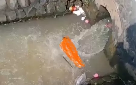Mayat Bayi Telanjang Ditemukan Terapung di Saluran Pengairan Sawah Di Jombang