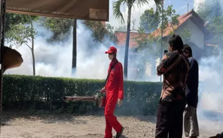 Duh, DBD di Probolinggo Tertinggi di Jatim! 12 Berujung Kematian