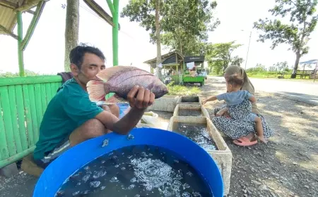 Daya Tarik Pasar Ikan Jalan Raya Provinsi Jember - Lumajang  Yang Jadi Buruan Selama Bulan Ramadan