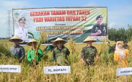Pj Bupati Bondowoso Bersama Forkopimda, Tanam dan Panen Padi Inpari 32