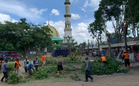 Cegah Risiko Bencana, Puluhan Pohon di Alun Alun Kencong Dipotong