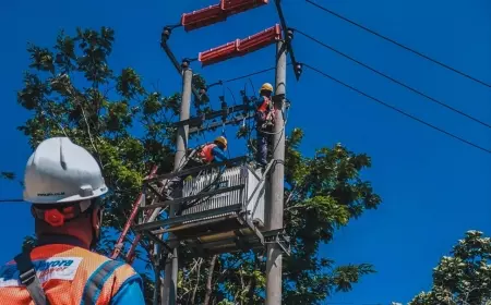 Listrik Tetap Terjangkau, Pemerintah dan PLN Jaga Daya Beli Masyarakat