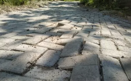 Seumur Jagung, Proyek Paving di Jipurapah Jombang Sudah Mulai Rusak