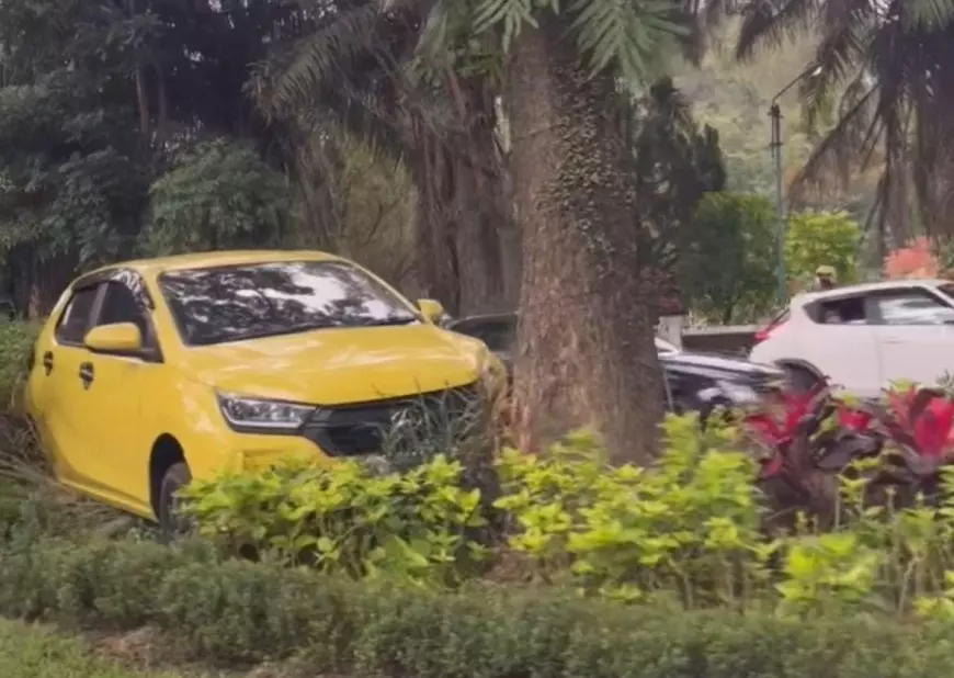 Niat Putar Balik, Sebuah Mobil di Kota Malang Nyangkut di Taman