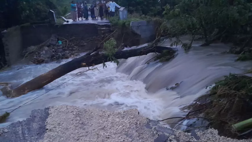Luberan Air Tanggul Jebol di Bojonegoro Putuskan Jalan Desa Sebelah