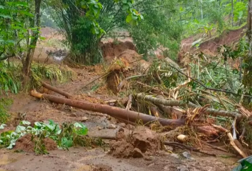 Selain Tanah Retak, Dua Desa di Jombang Terputus Akses Karena Longsoran Tanah